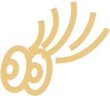 Trusted by
Gamers Since 2011